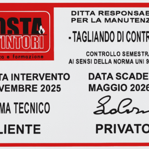 Tagliando di Controllo UNI9994